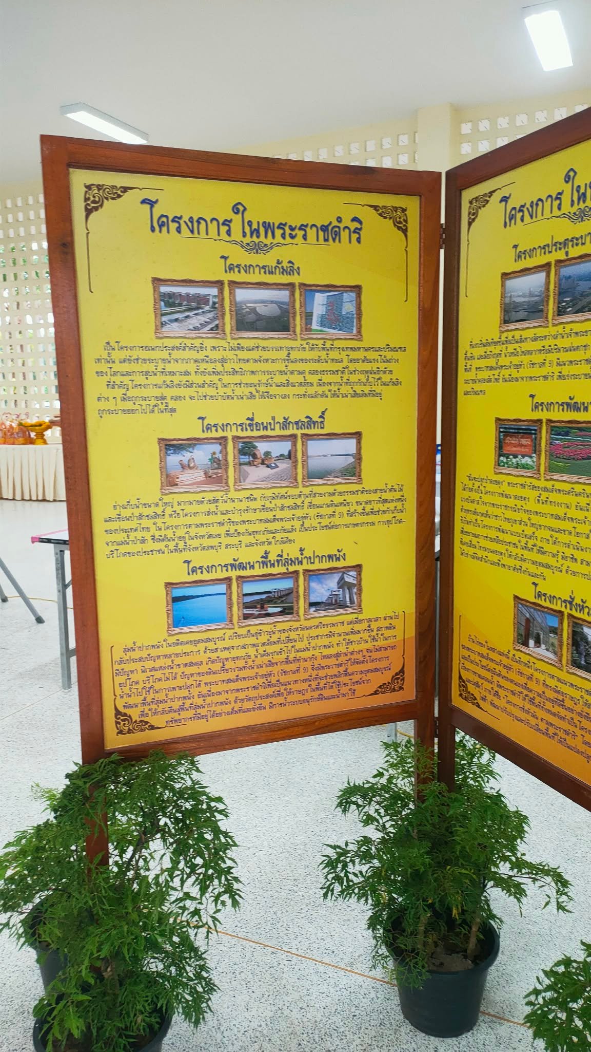 <div style='text-align:center;'>
						ชื่อไฟล์ : 30e62fddc14c05988b44e7c02788e1871_2471966236.jpg <a href='img/article/art_1765175907/image/g/30e62fddc14c05988b44e7c02788e1871_2471966236.jpg' target='_blank' style='color:$FFF !important;' download>Download</a></div>