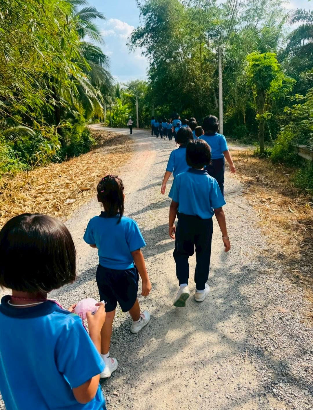 <div style='text-align:center;'>
						ชื่อไฟล์ : 18e2999891374a475d0687ca9f989d831_285712845.jpg <a href='img/article/art_1765337915/image/g/18e2999891374a475d0687ca9f989d831_285712845.jpg' target='_blank' style='color:$FFF !important;' download>Download</a></div>